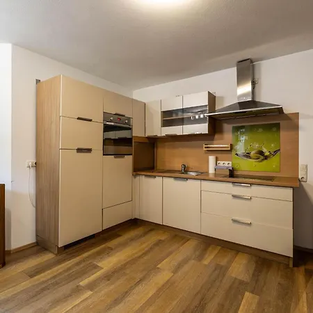 Appartement Schmittenblick